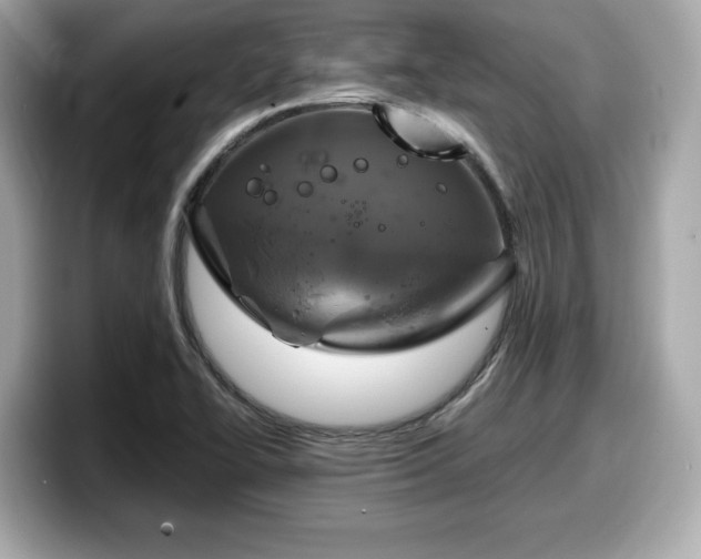 X0000098071414200804110913