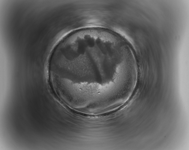 X0000098071415200804110913