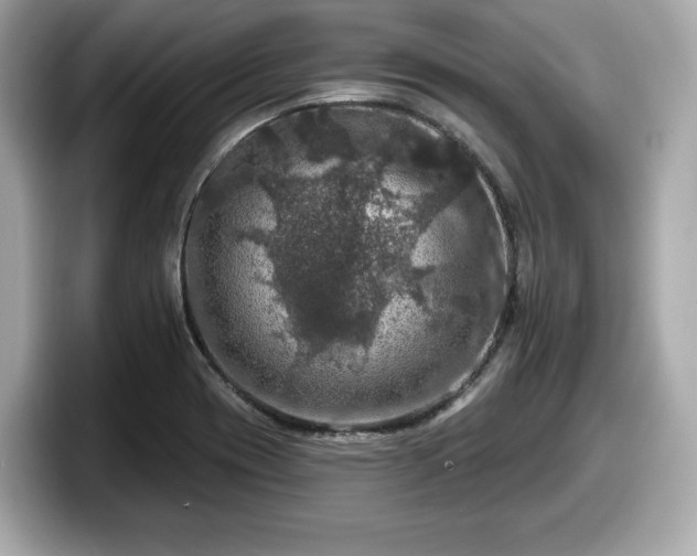 X0000098071417200804110913