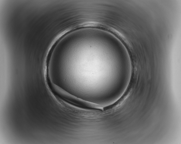 X0000098071418200804110913