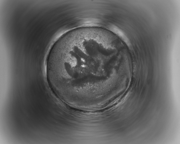 X0000098071419200804110913