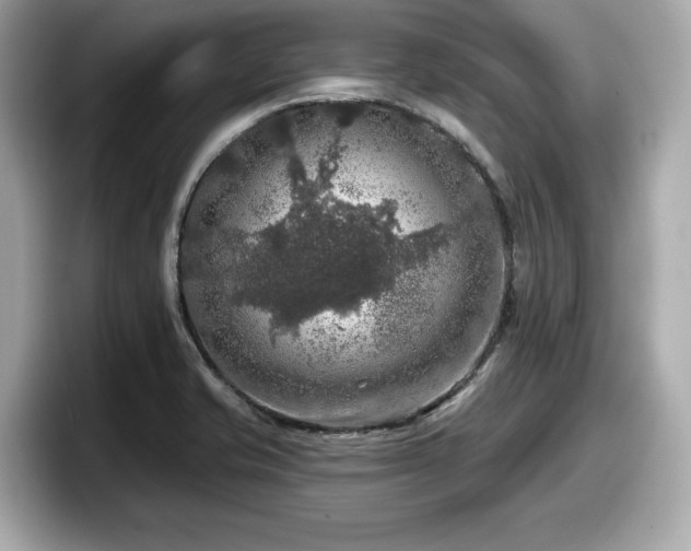 X0000098071421200804110913