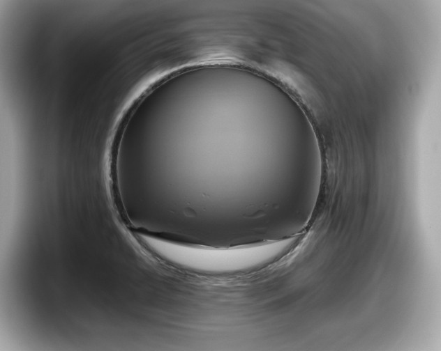 X0000098071422200804110913