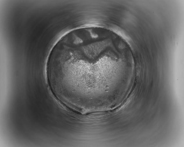 X0000098071423200804110913