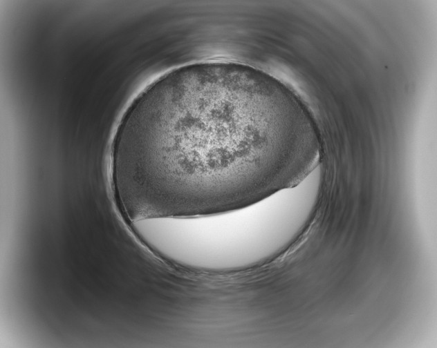 X0000098071424200804110913