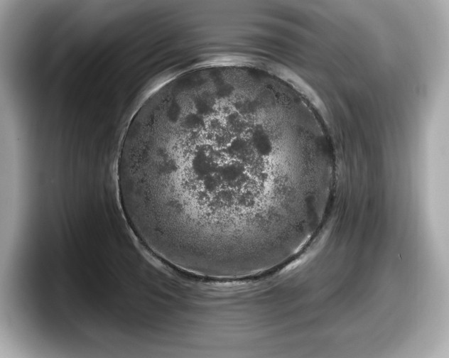 X0000098071425200804110913