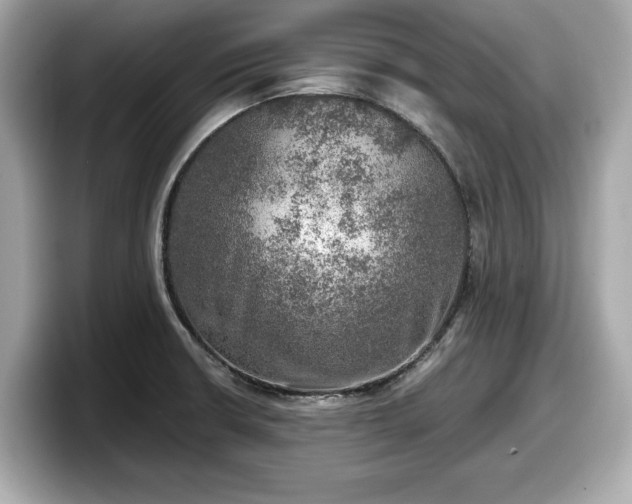 X0000098071426200804110913