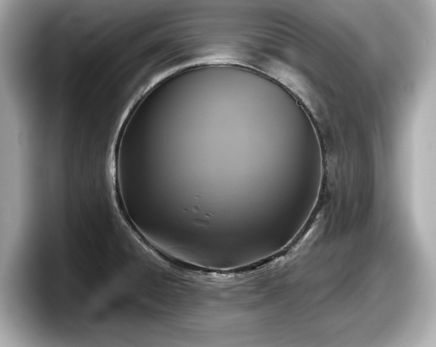 X0000098071428200804110913