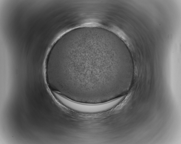 X0000098071430200804110913