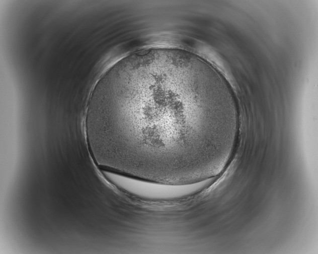 X0000098071433200804110913