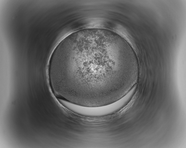 X0000098071434200804110913