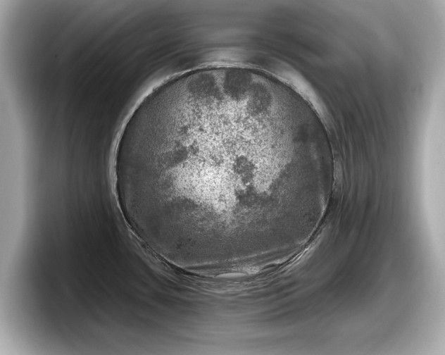 X0000098071435200804110913