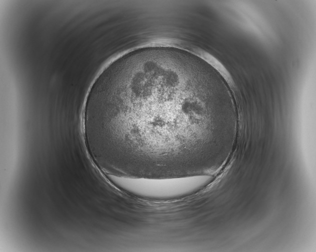 X0000098071436200804110913