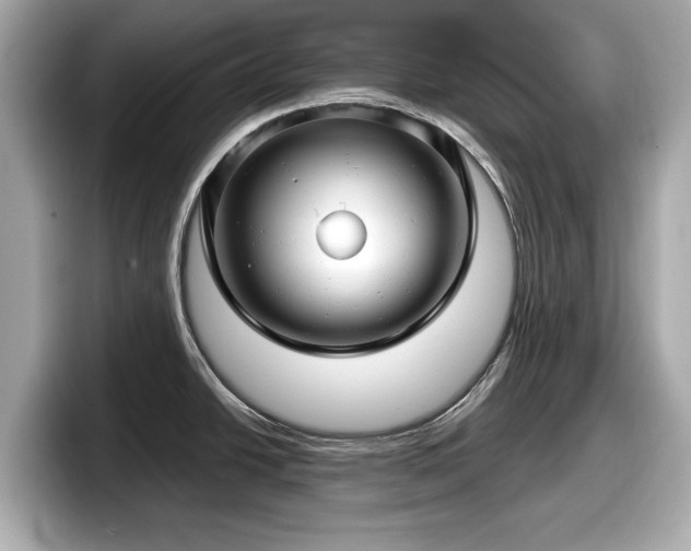 X0000098071438200804110913