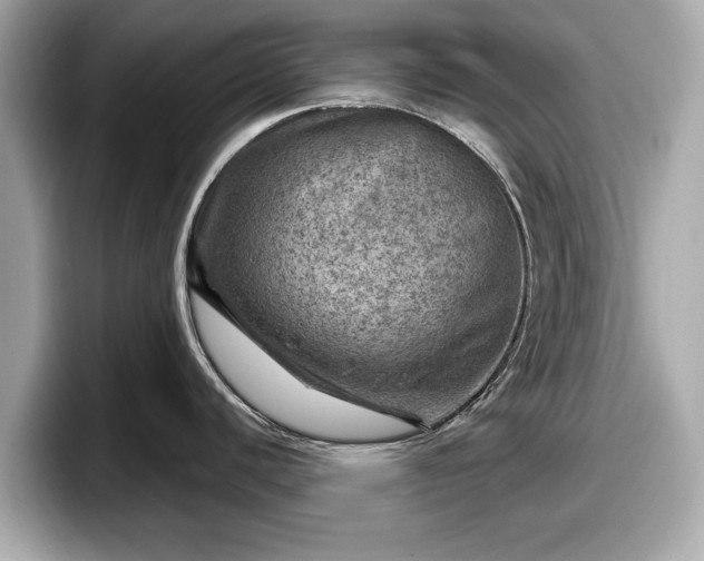 X0000098071440200804110914