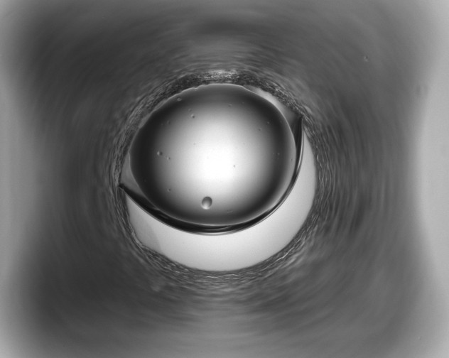 X0000098071441200804110913