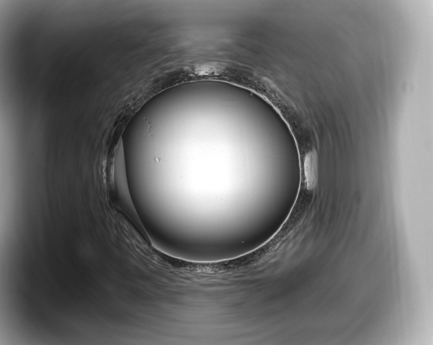 X0000098071443200804110913