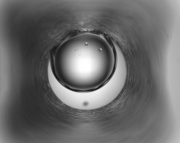 X0000098071444200804110913