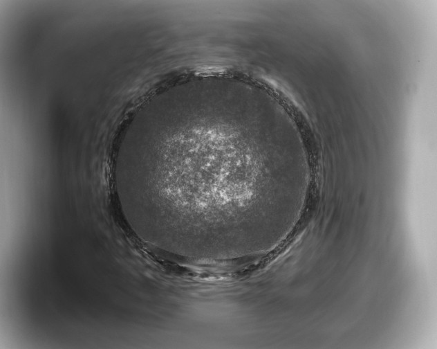 X0000098071445200804110913