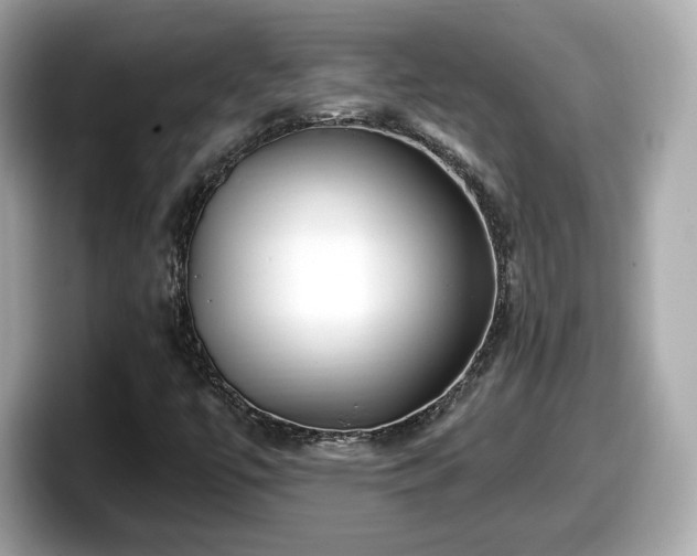 X0000098071447200804110913