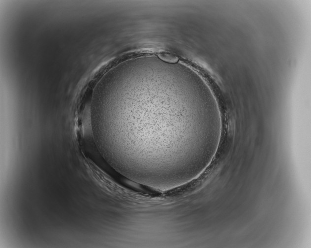 X0000098071448200804110913