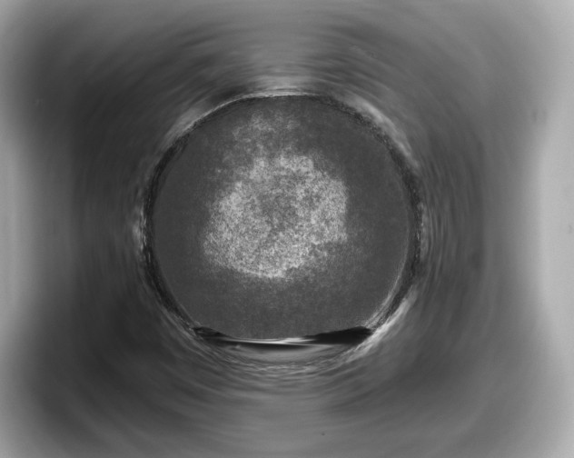 X0000098071449200804110913