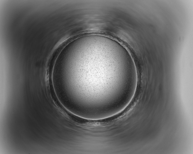 X0000098071450200804110913