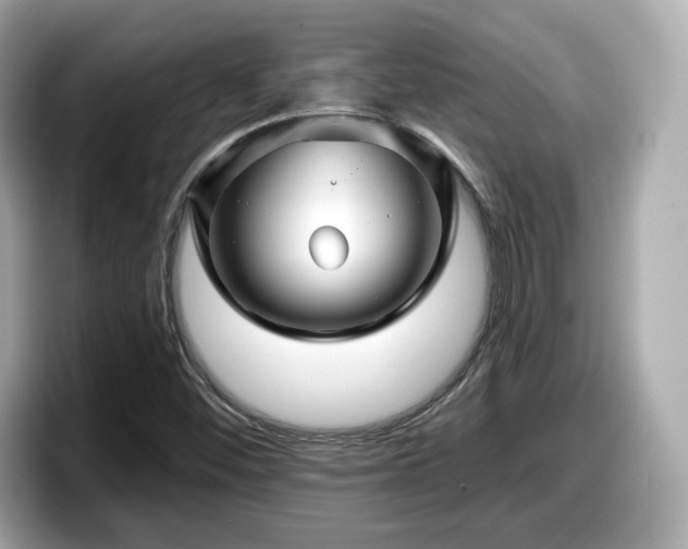 X0000098071452200804110913