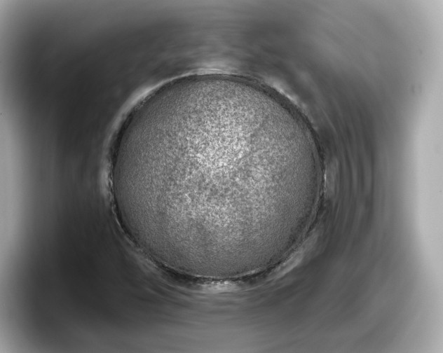 X0000098071454200804110913