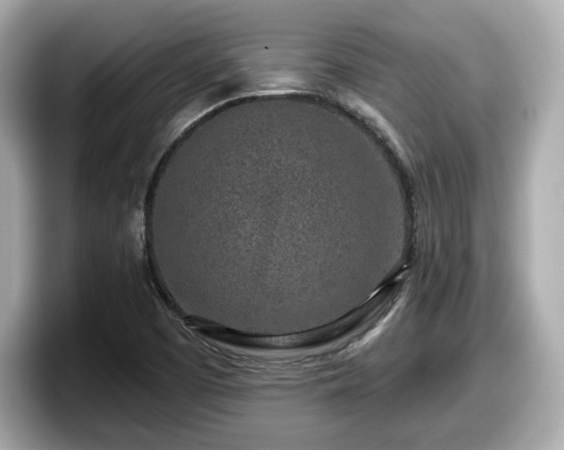 X0000098071457200804110913