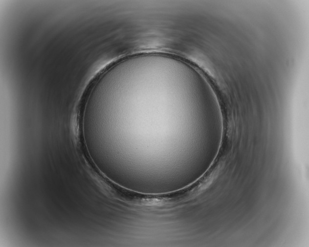 X0000098071458200804110913