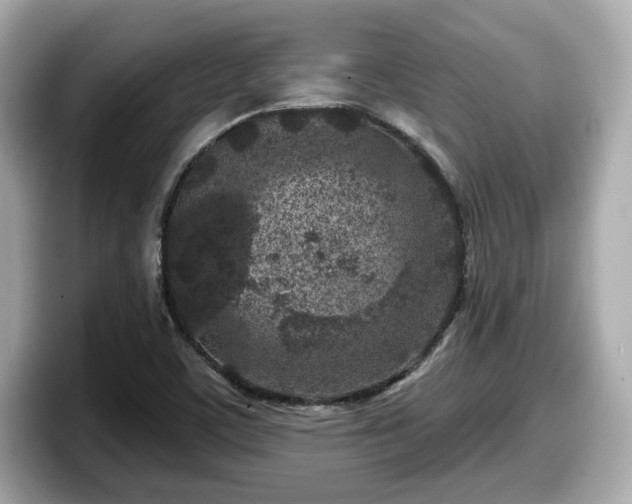 X0000098071459200804110913