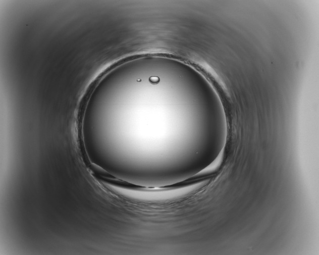 X0000098071460200804110913