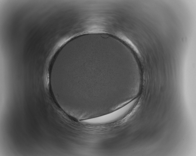 X0000098071461200804110913