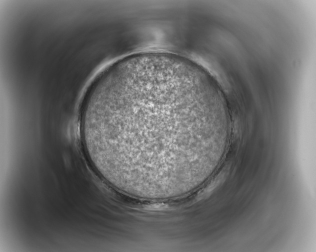 X0000098071462200804110913