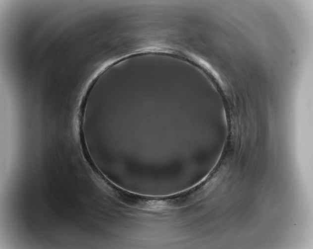 X0000098071463200804110913