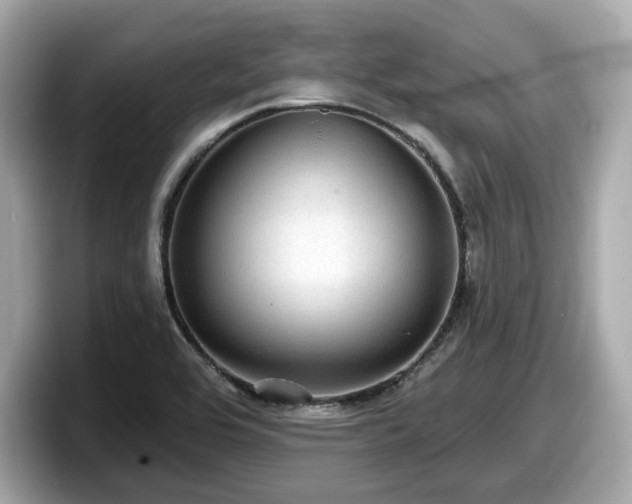 X0000098071464200804110913