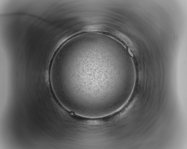 X0000098071465200804110913