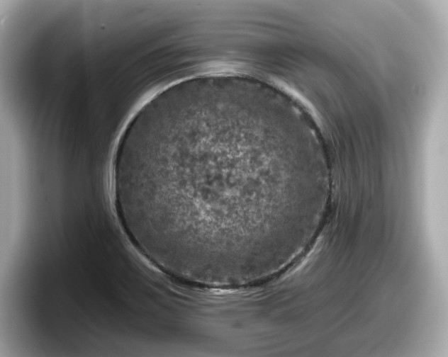 X0000098071467200804110913