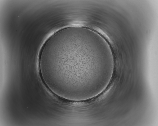 X0000098071469200804110913