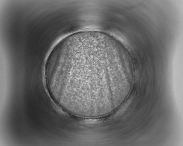 X0000098071470200804110913