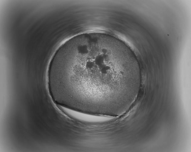 X0000098071471200804110913