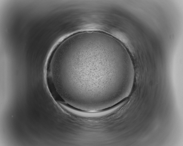 X0000098071472200804110913