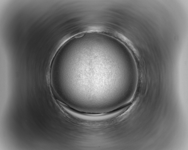 X0000098071473200804110912