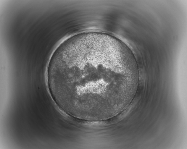 X0000098071474200804110912