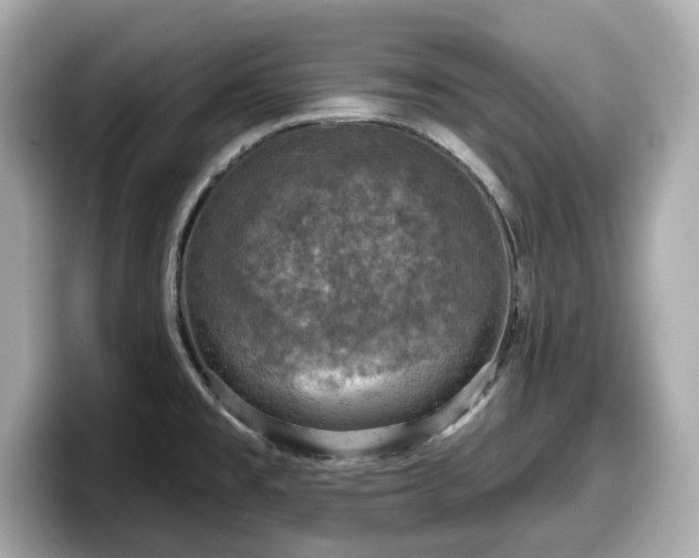 X0000098071477200804110912