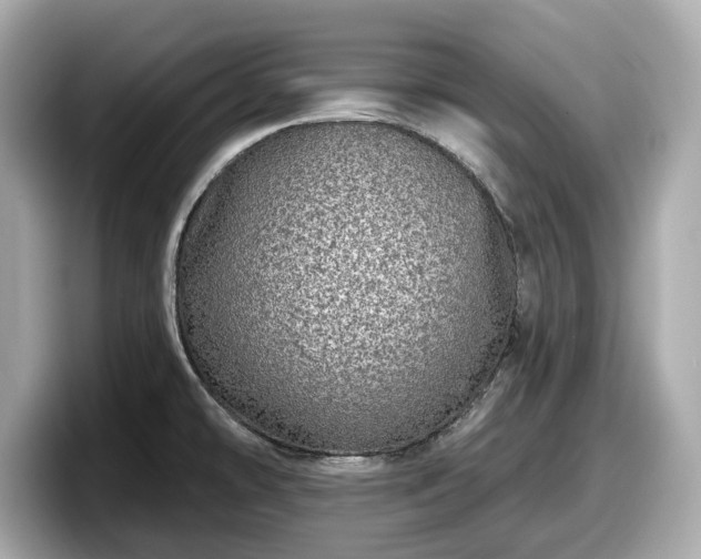 X0000098071478200804110912