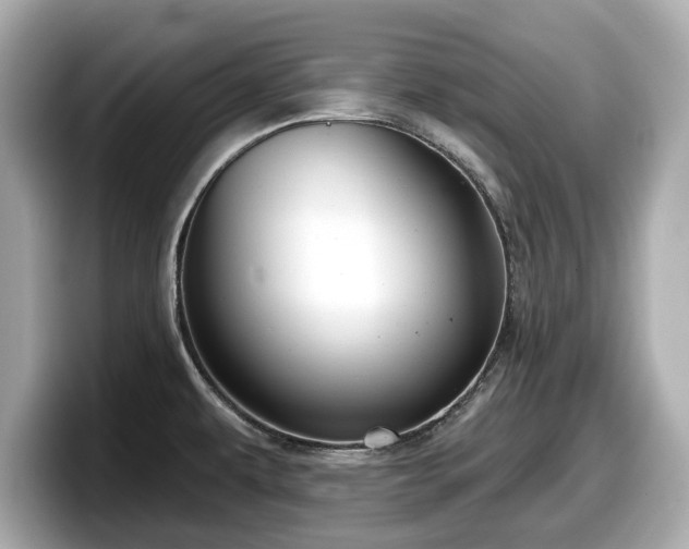 X0000098071479200804110912