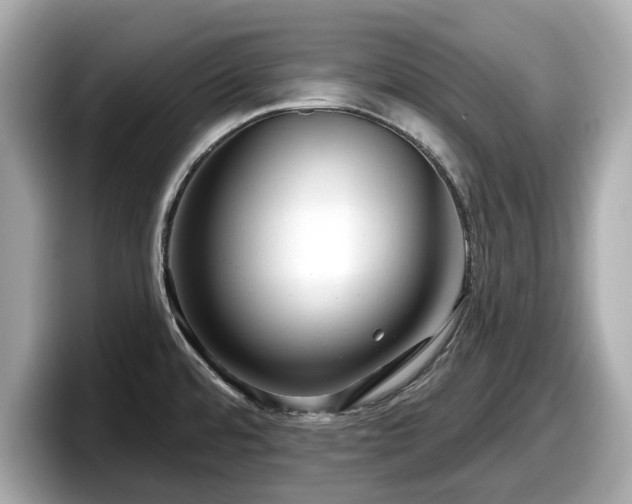 X0000098071480200804110912