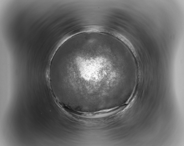 X0000098071481200804110912